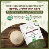 Marshmallow Root Powder (Althaea Officinalis) - Herbal Tea | European Wild-Harvest | Kosher Certified | Vegan, Non GMO & Gluten Free | USDA Certified | Origin - Albania