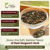 Mugwort Herb Loose Leaf Cut & Sifted (Artemisia Vulgaris) Herbal Tea | Kosher & USDA Certified | Vegan, Non-GMO & Gluten Free | Raw from Albania