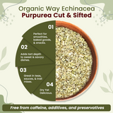 Echinacea Purpurea Herb Cut & Sifted - Herbal Tea - Origin Albania