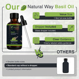 Basil Essential Oil for Diffusers | Natural Aroma Oil for Home Fragrance, Humidifier & DIY Candle Making, Long Lasting Scent for Office, Bedroom & Soothing Scent 4 Fl Oz (120 mL)