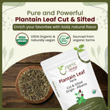 Plantain Leaf Cut and Sifted | European Wild-Harvest | Kosher Certified | Non GMO & USDA Certified