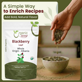 Dried Blackberry Leaf Whole (Rubus fruticosus) - European Wild-Harvest | Kosher Certified | Raw, Vegan, Non GMO & Gluten Free | USDA Certified | Origin - Albania