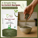 Plantain Leaf Cut and Sifted | European Wild-Harvest | Kosher Certified | Non GMO & USDA Certified