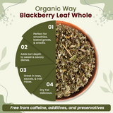 Dried Blackberry Leaf Whole (Rubus fruticosus) - European Wild-Harvest | Kosher Certified | Raw, Vegan, Non GMO & Gluten Free | USDA Certified | Origin - Albania