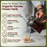Yarrow Flower Cut & Sifted (Achillea millefolium) - Herbal Tea | European Wild-Harvest | Kosher & USDA Certified | Vegan, Non-GMO & Gluten Free | 100% Raw from Albania