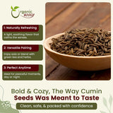 Cumin Seeds