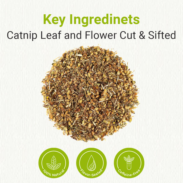 Natural Catnip Leaf & Flower Cut & Sifted