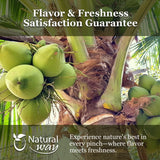 Natural Coconut Milk Powder